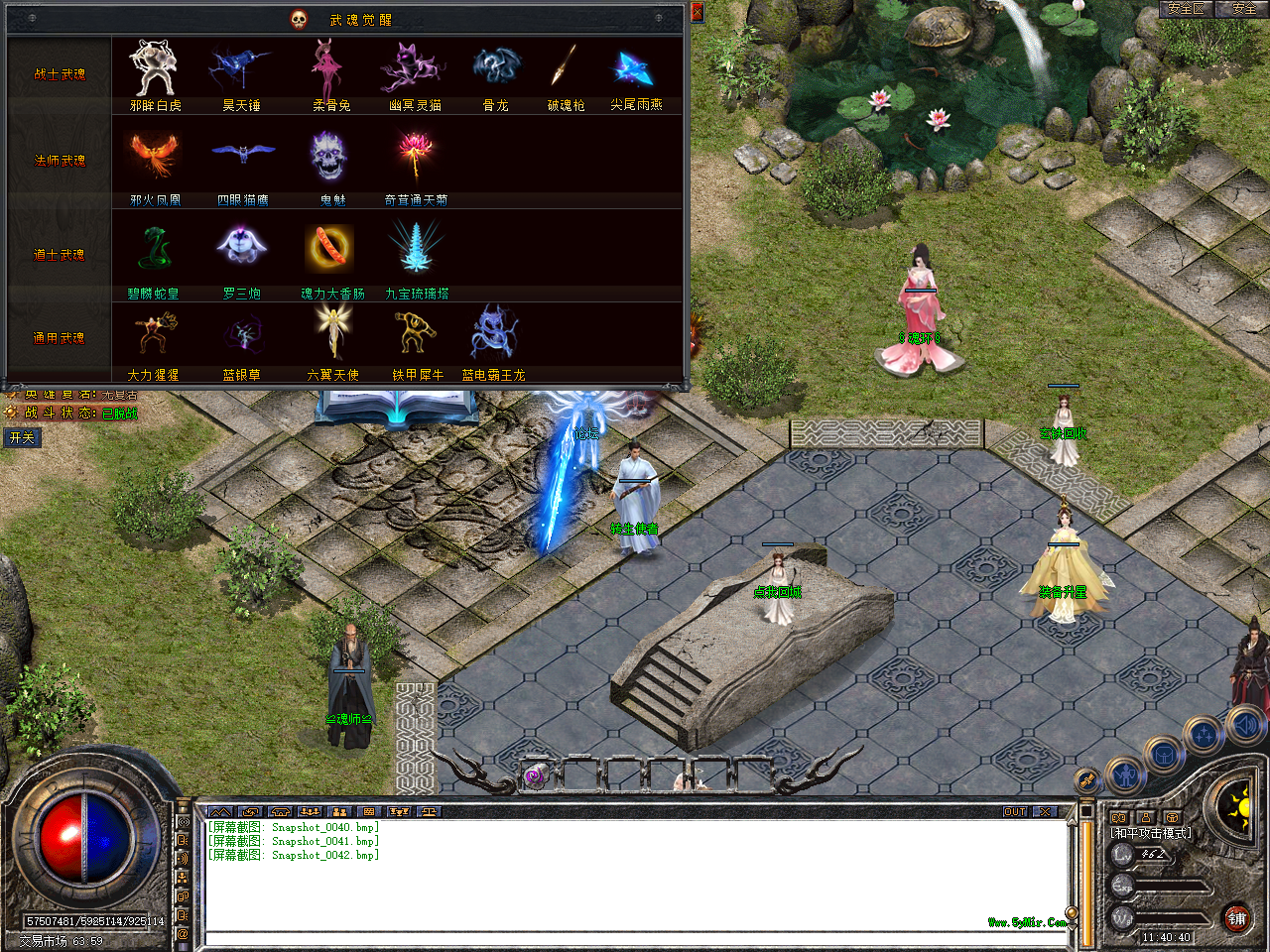 Snapshot_0043.bmp