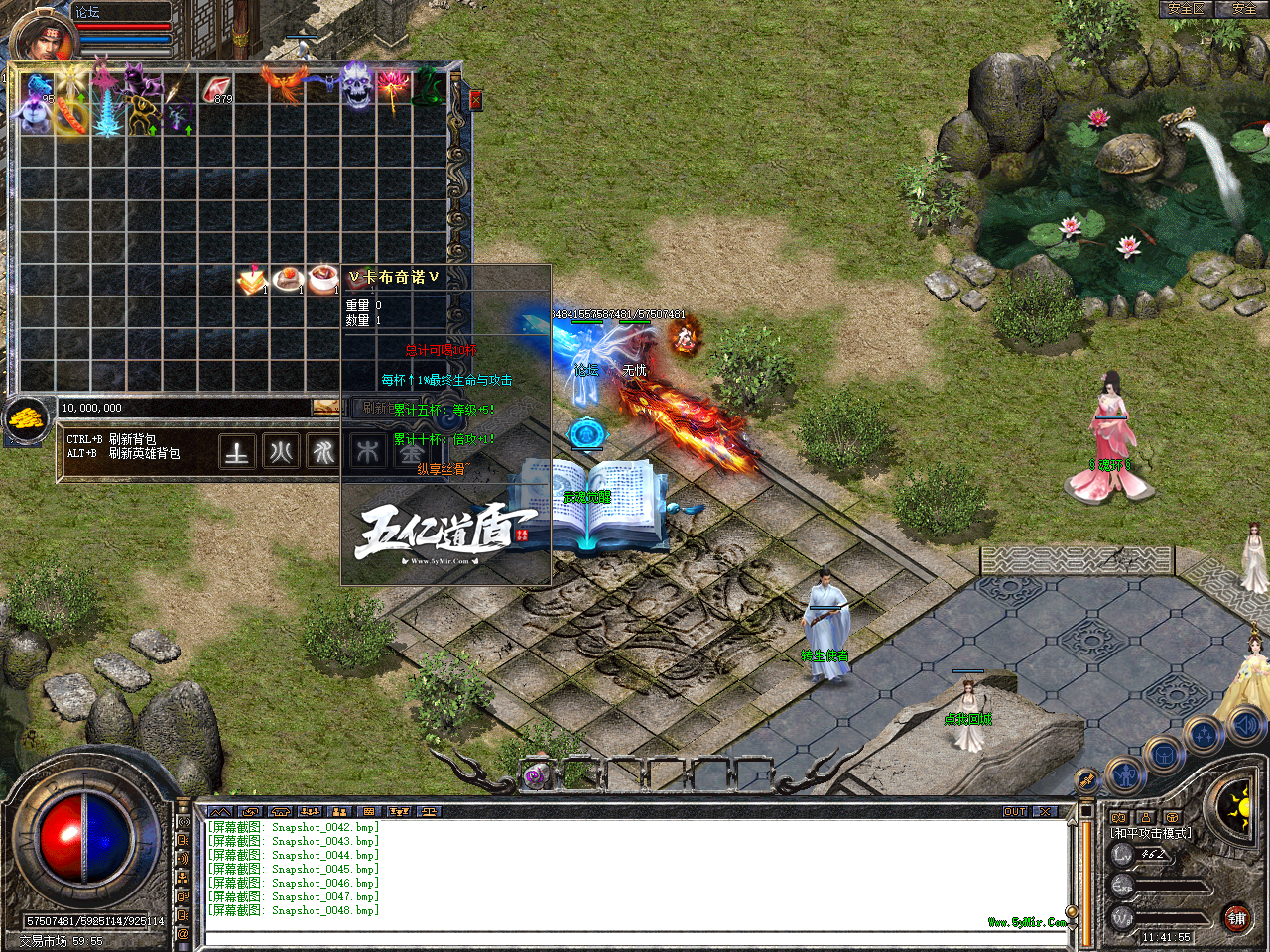 Snapshot_0049.bmp
