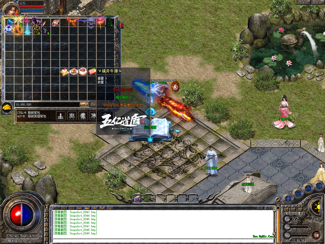 Snapshot_0050.bmp