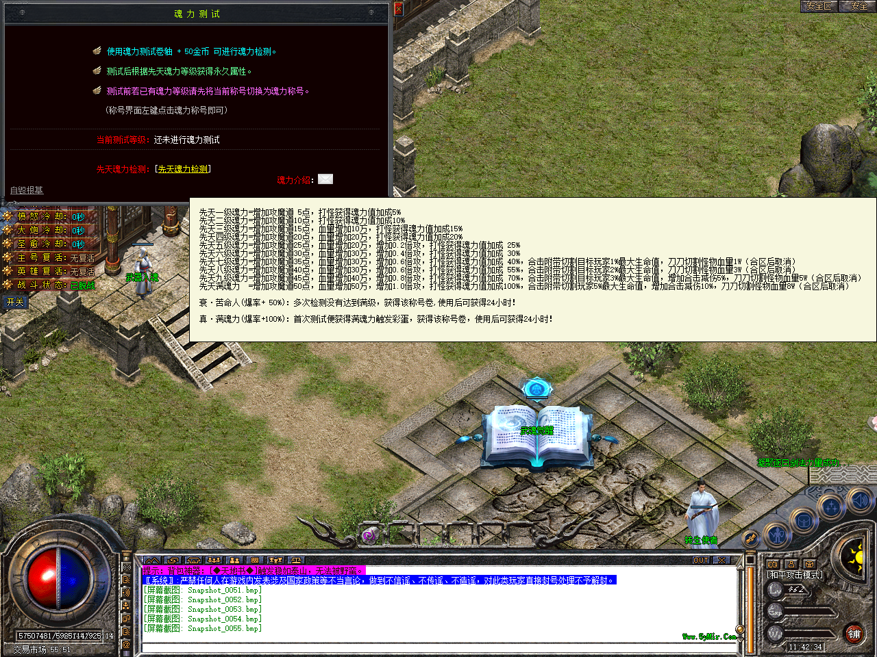 Snapshot_0056.bmp